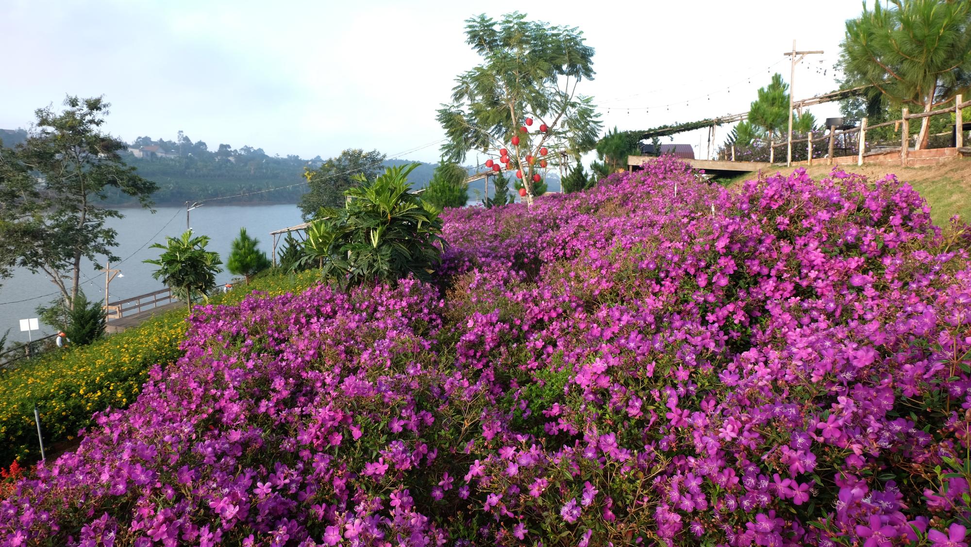 Kiss House Glamping 3