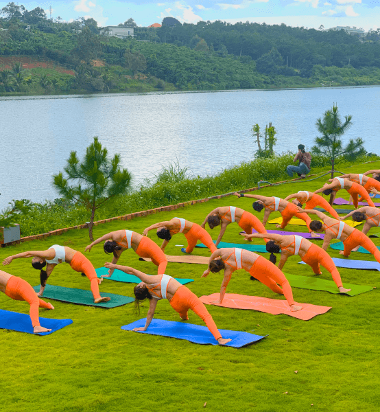 Sự kiện ngoài trời tuyệt đẹp