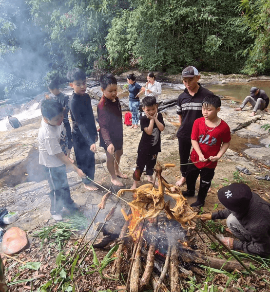 Hái Nấm